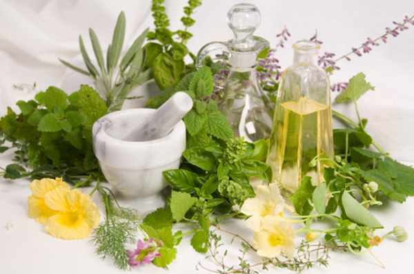herbs-pestal andmortar-pestle
